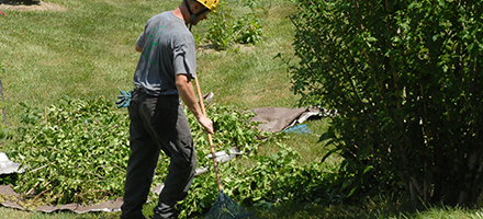 Worker using a long-handled tool to clear leafy brush and shrubs on a grassy property