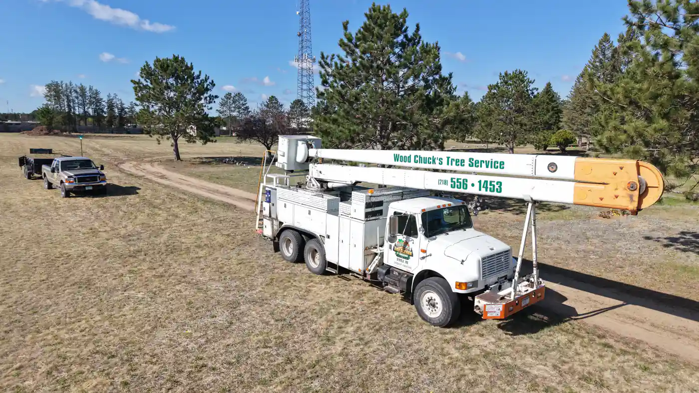 WoodChucks bucket truck with the boom extended beside tall pines on a Bemidji area job site