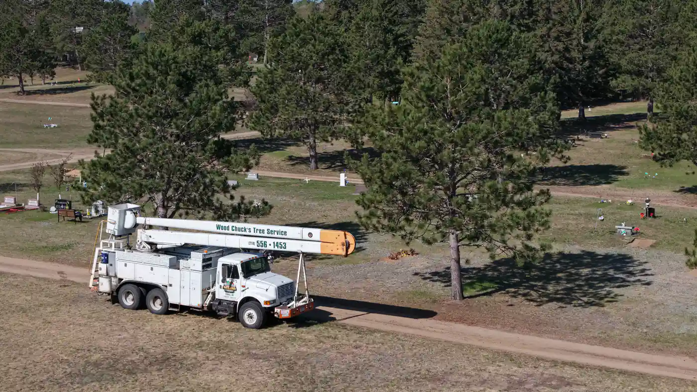 WoodChucks bucket truck set up among mature pines on a wooded Northern Minnesota property