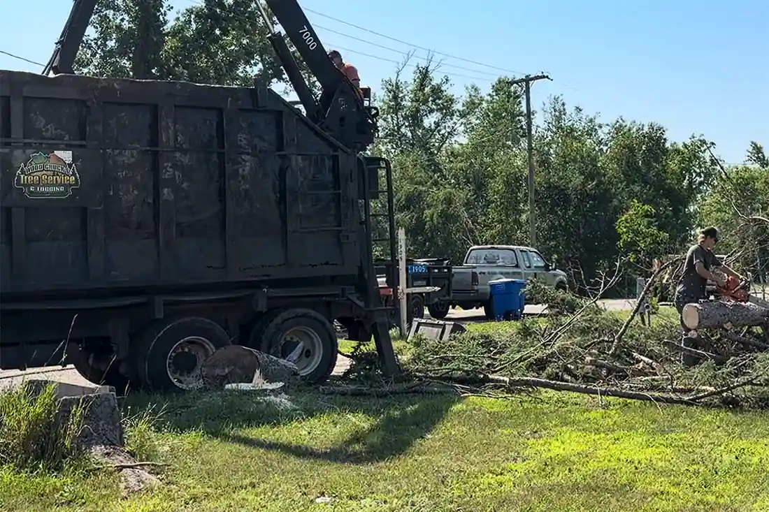WoodChucks crew member bucking a downed log with a chainsaw next to the branded grapple truck