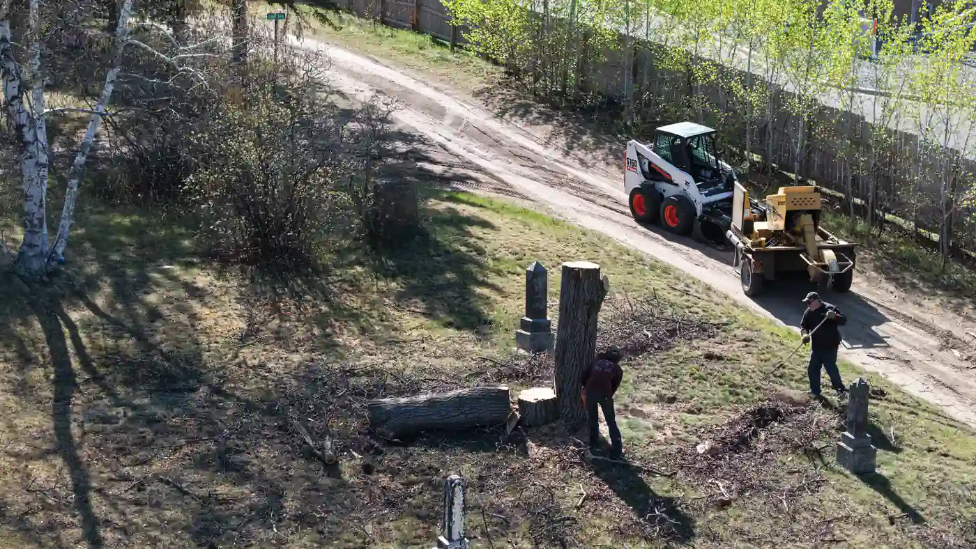 WoodChucks crew sectioning a large downed trunk and clearing scattered brush, with the skid steer and grinder staged on the access road