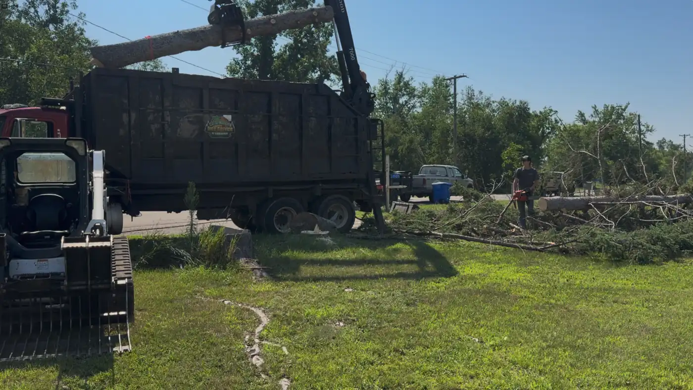 WoodChucks grapple truck and skid steer working a Northern Minnesota tree removal site
